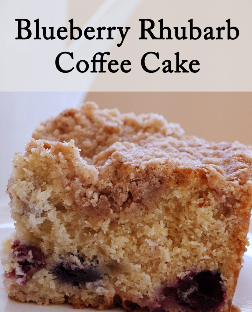 Blueberry Rhubarb Coffee Cake - createwithclaudia.com